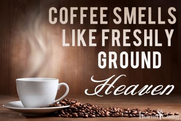 Roast 'N Grind Coffee Co