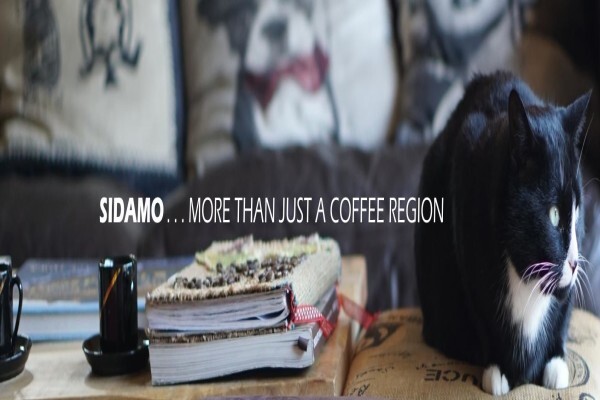 Coffee Roasting Co