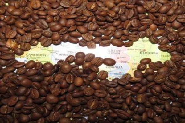 Peacock Tea & Coffee (Pty) Ltd