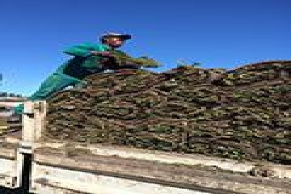 Agri Organics CC