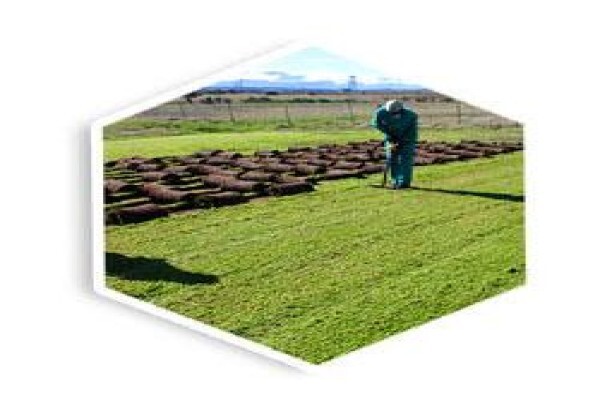 Agri Organics CC