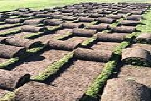 Agri Organics CC