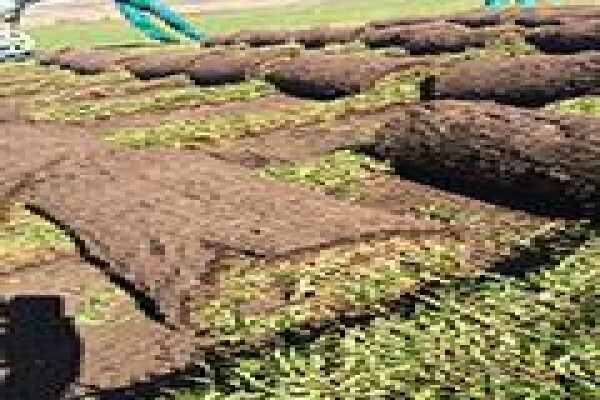 Agri Organics CC