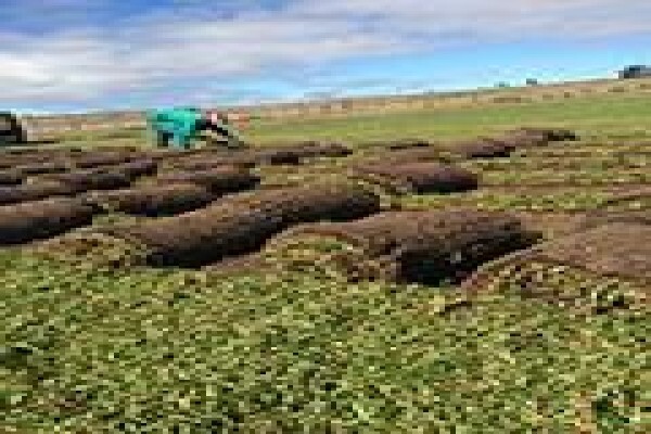 Agri Organics CC