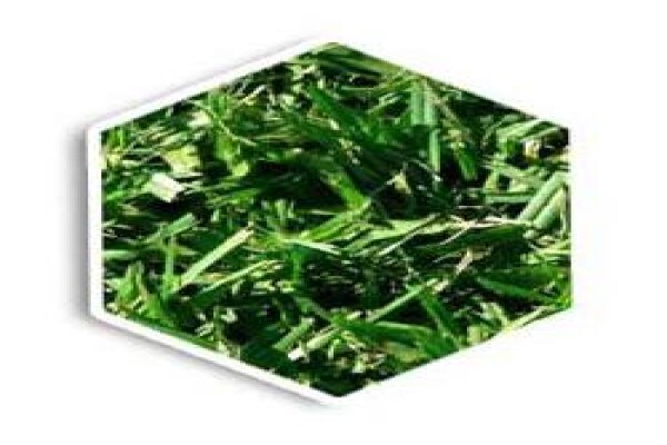 Agri Organics CC