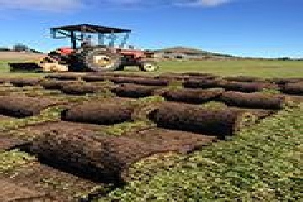 Agri Organics CC