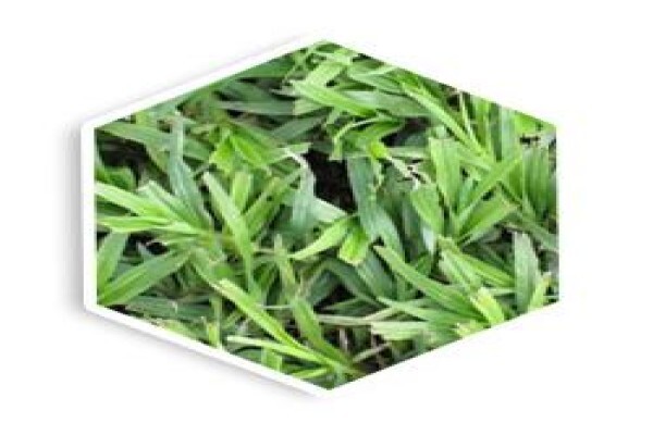 Agri Organics CC