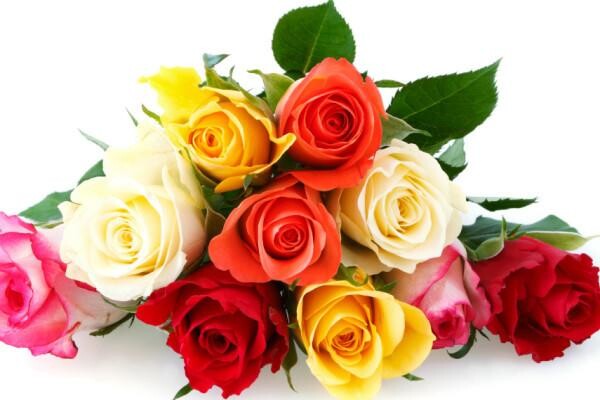 Baker & Baker Funeral Directors