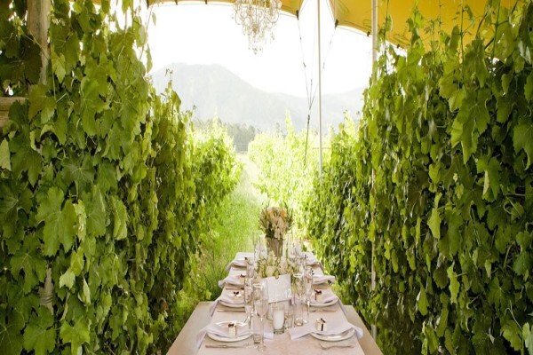 Bramon Hardware Viticulture Supplies