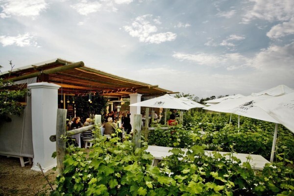 Bramon Hardware Viticulture Supplies