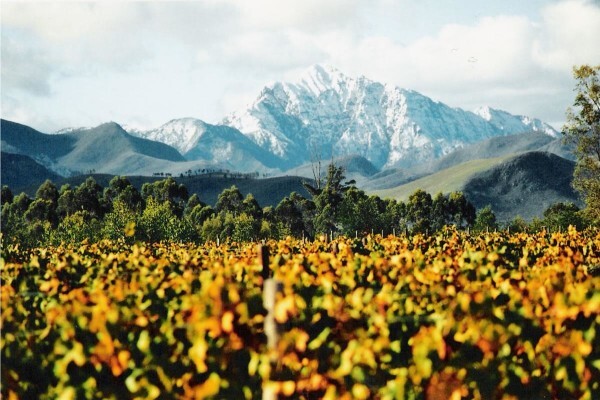 Bramon Hardware Viticulture Supplies