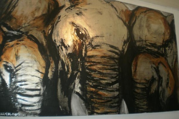 D'Cor Africa