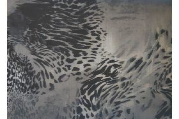 Into Africa