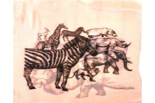Into Africa