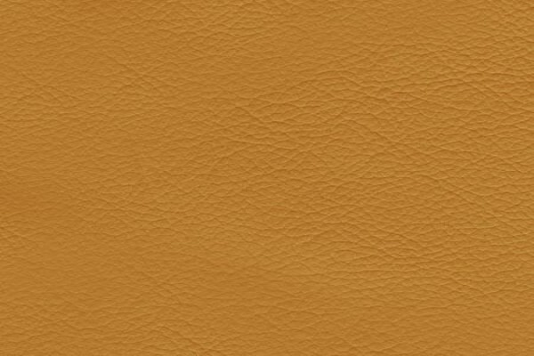Bartlett & Dunster Fabrics