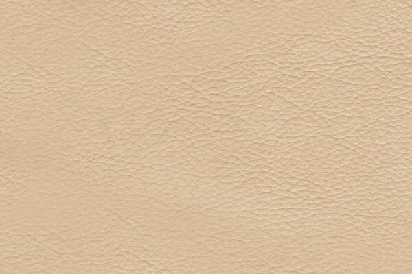 Bartlett & Dunster Fabrics