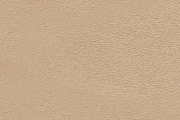 Bartlett & Dunster Fabrics