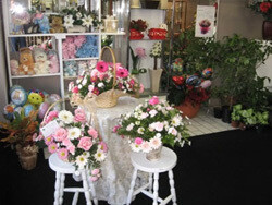 Stephanie & Janine's Florist