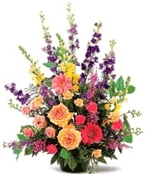 Bunches