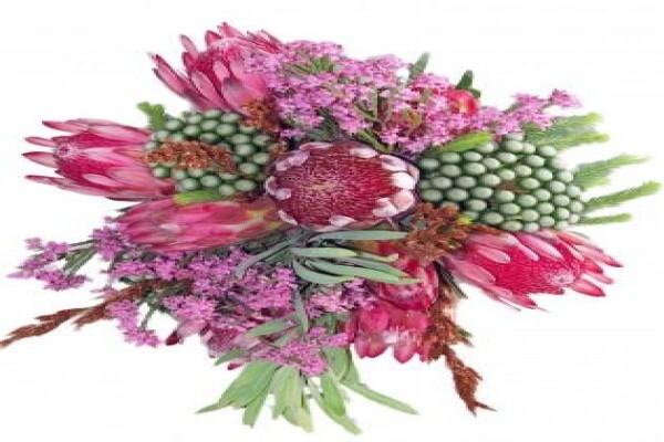 Henry Williams Florist