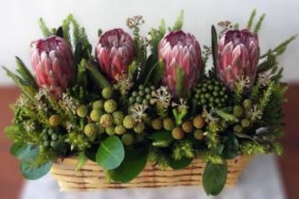 Henry Williams Florist