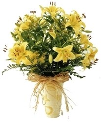 Pinelands Florist