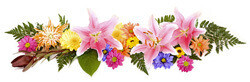 The Flower Box