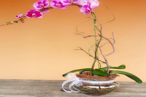 Twiggs Florist