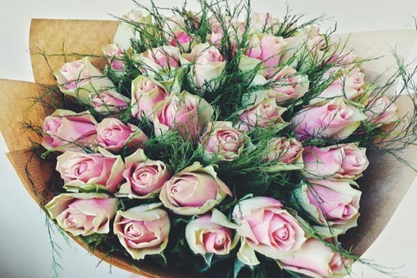 Rhubarb Flower Company