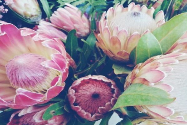 Rhubarb Flower Company