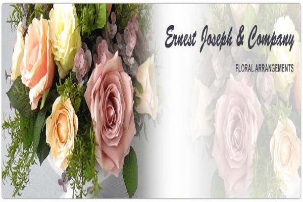 Ernest Joseph & Co (Pty) Ltd