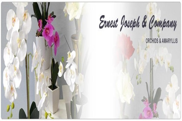 Ernest Joseph & Company (Pty) Ltd