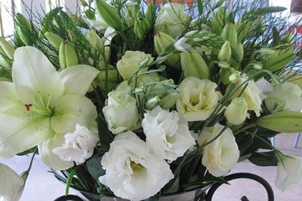 Rhubarb Flower Company