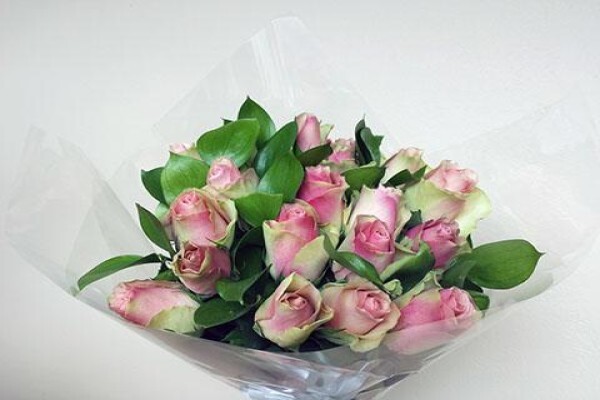 Rhubarb Flower Company