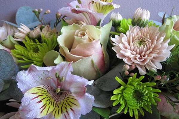 Rhubarb Flower Company