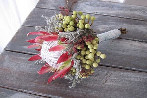 Rhubarb Flower Company