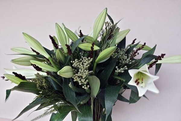 Rhubarb Flower Company