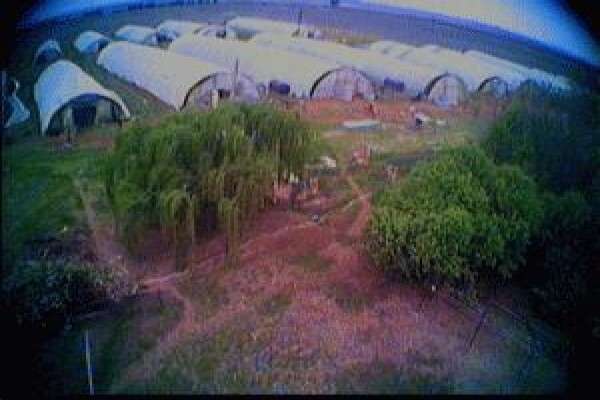 Sekretaris Pan Flower Farm