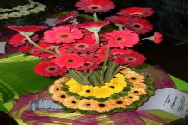 Sekretaris Pan Flower Farm