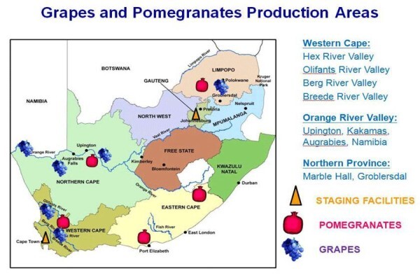 Sapex (Pty) Ltd