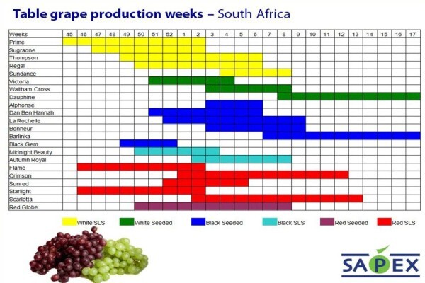 Sapex (Pty) Ltd