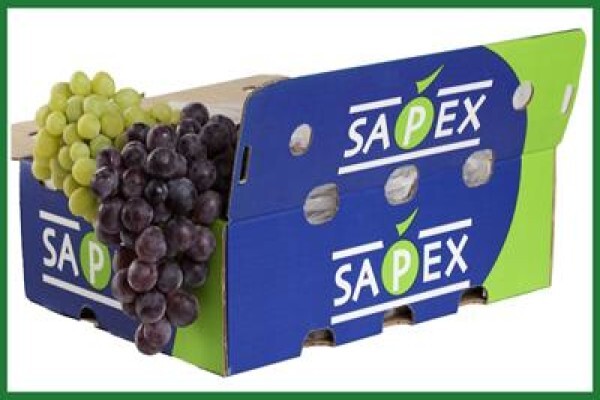 Sapex (Pty) Ltd