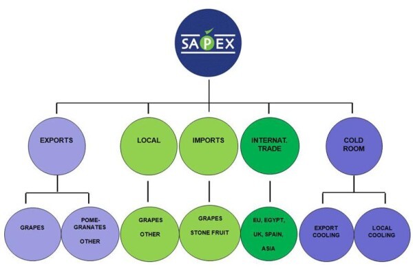 Sapex (Pty) Ltd