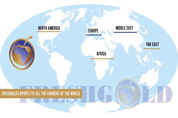 Freshgold SA Exports