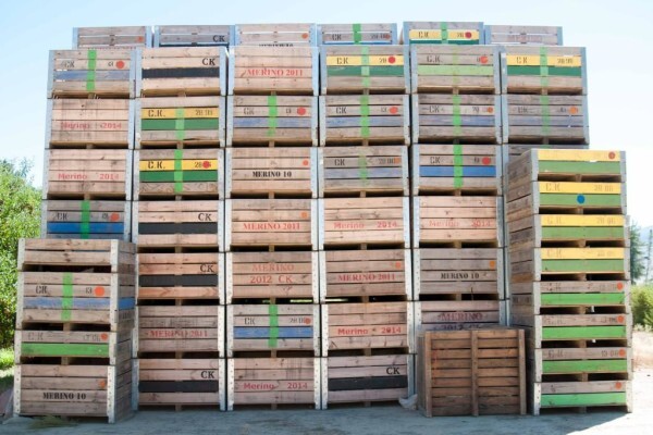 Freshgold SA Exports