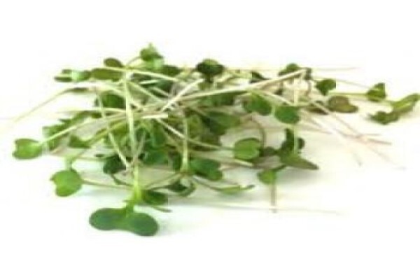 Farm Fresh Direct