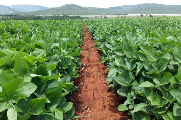 Agricol (Pty) Ltd