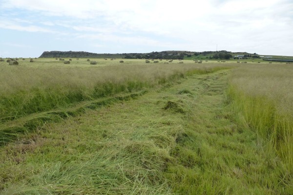 Agricol (Pty) Ltd