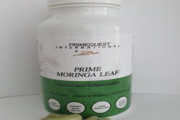Primequest International