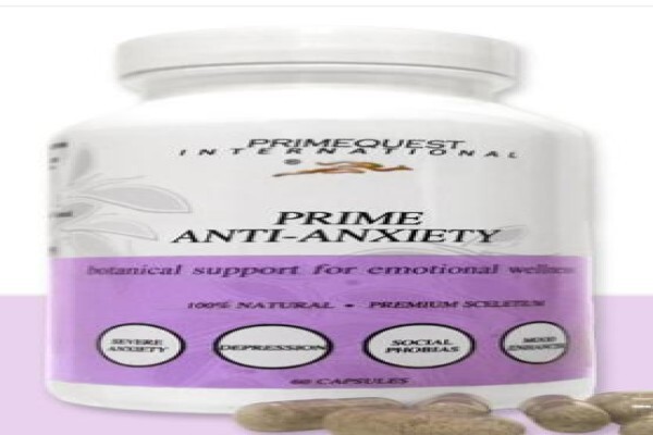 Primequest International